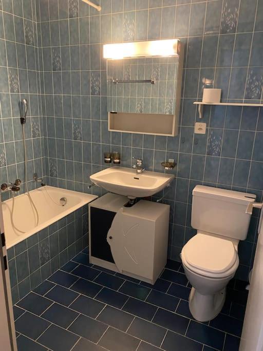 Apartmán Ascona: Residenza Sabrina,App 2.5 Locali E Piscina Exteriér fotografie