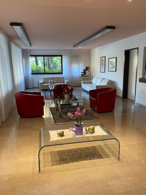 Apartmán Ascona: Residenza Sabrina,App 2.5 Locali E Piscina Exteriér fotografie